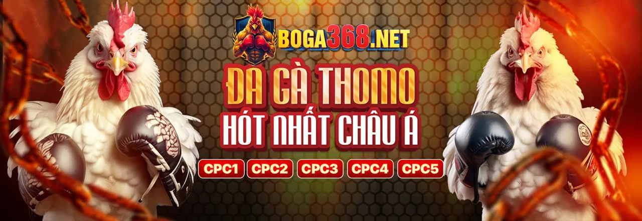 Sân đấu đá gà trực tuyến sôi động tại hcm66 win